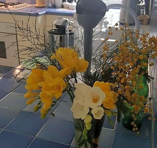 Orsini Bed & Breakfast 4*